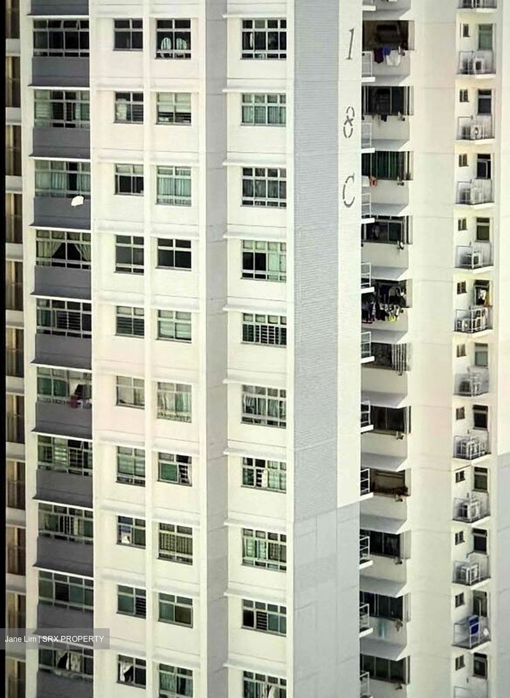Blk 18C Buona Vista Court (Queenstown), HDB 5 Rooms #562224211